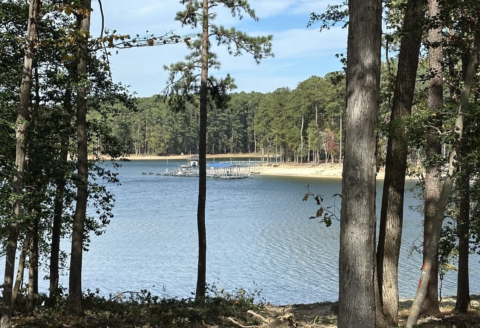 Wooded waterfront at The Pointe at Kerr Lake